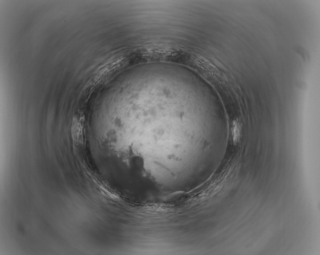 X0000113231059200909101206