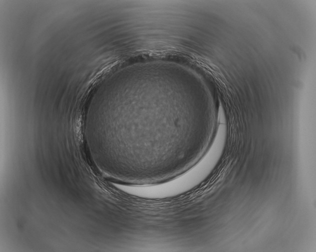X0000113231060200909101206