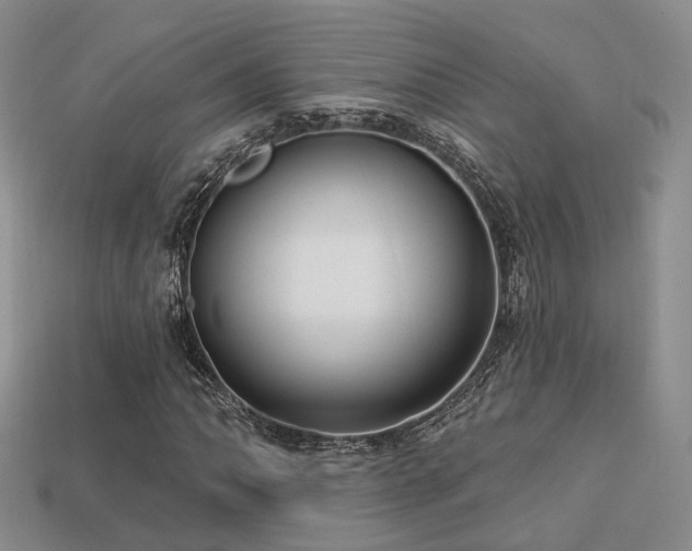 X0000113231062200909101206