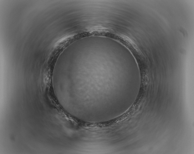 X0000113231063200909101206