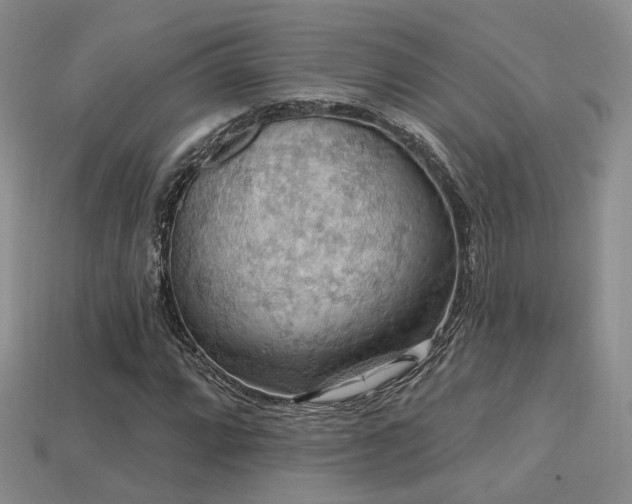 X0000113231064200909101206