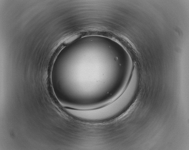 X0000113231065200909101206