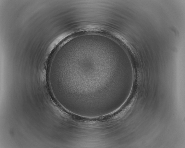 X0000113231066200909101206