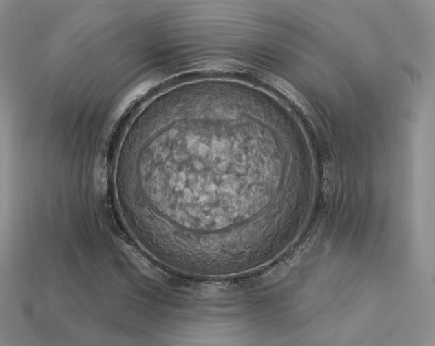X0000113231067200909101206