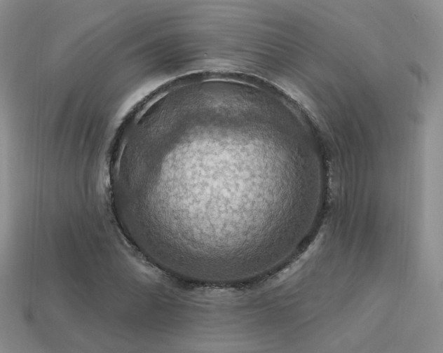 X0000113231070200909101206