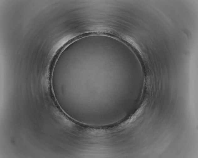 X0000113231071200909101206