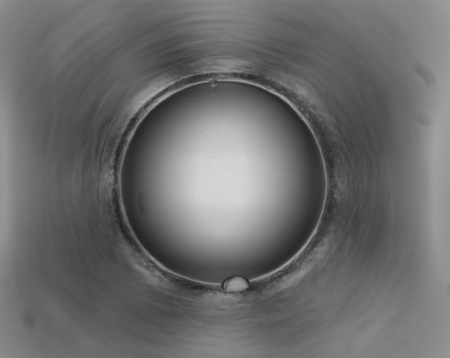 X0000113231073200909101206