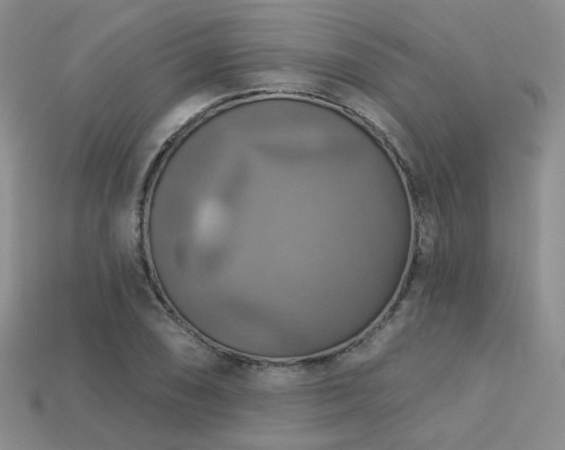 X0000113231074200909101206