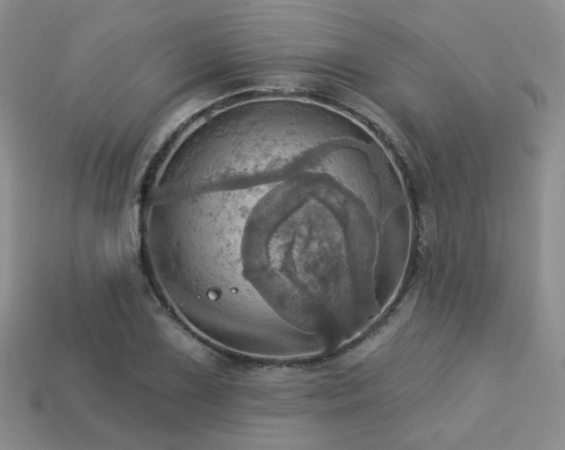 X0000113231075200909101206
