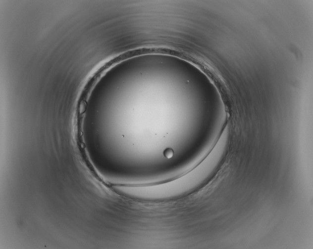 X0000113231076200909101206