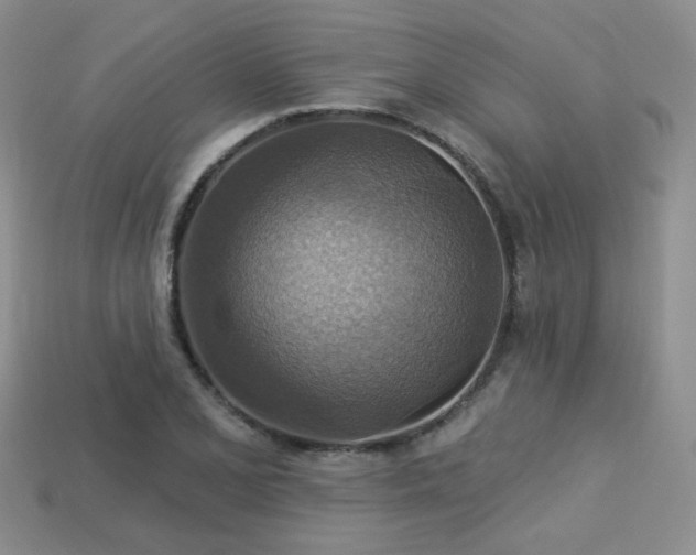 X0000113231077200909101206