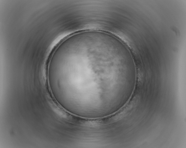 X0000113231078200909101206