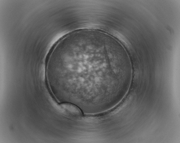 X0000113231079200909101206