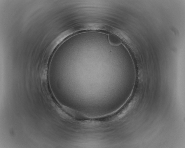 X0000113231081200909101206