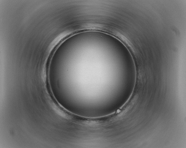 X0000113231082200909101206