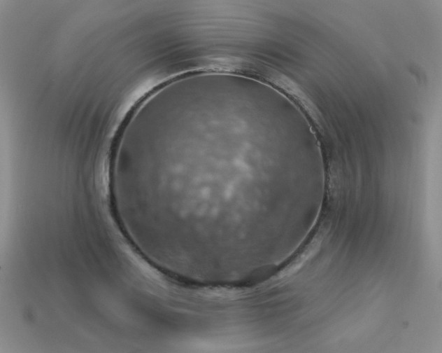 X0000113231083200909101206