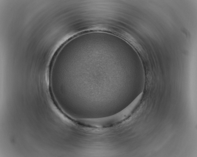 X0000113231084200909101206