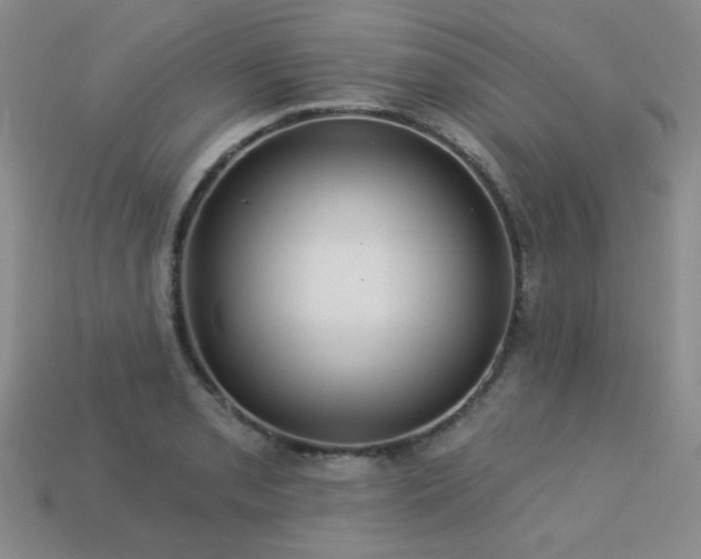 X0000113231085200909101206