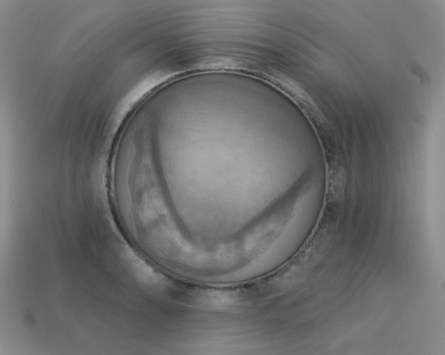 X0000113231086200909101206