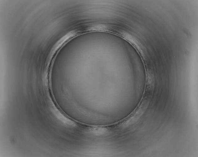 X0000113231090200909101206