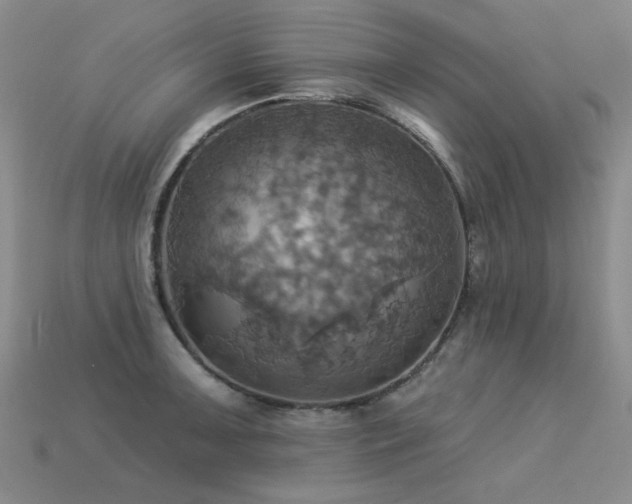 X0000113231091200909101206
