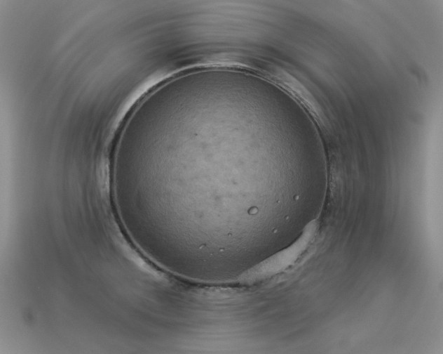 X0000113231092200909101206