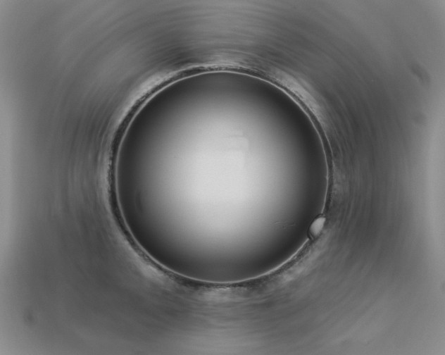 X0000113231093200909101206