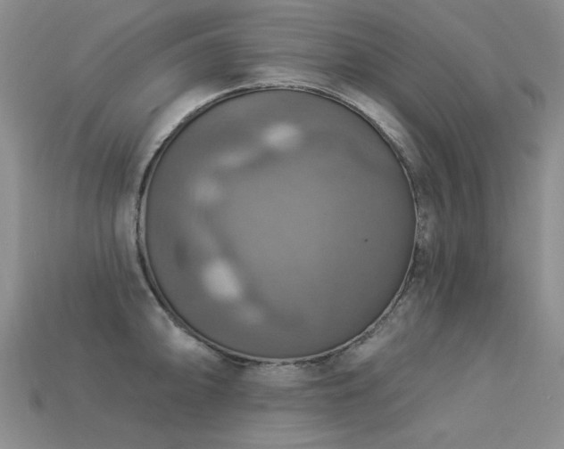 X0000113231094200909101206