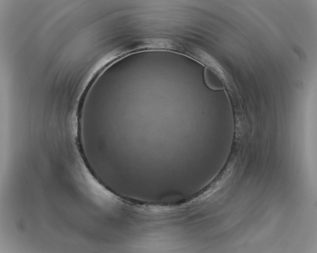 X0000113231095200909101206