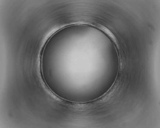 X0000113231096200909101206