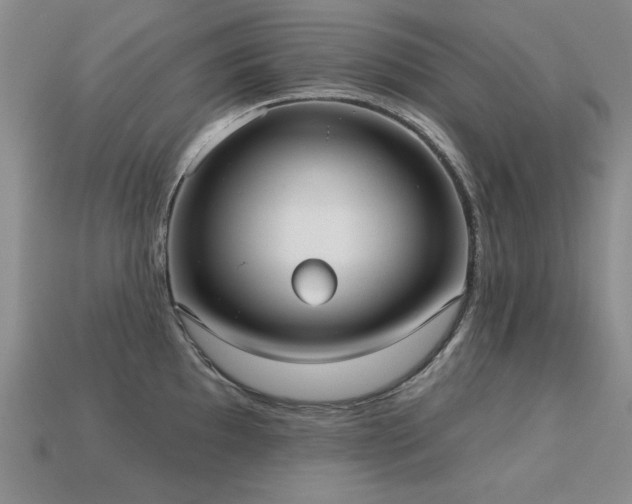 X0000113231097200909101206