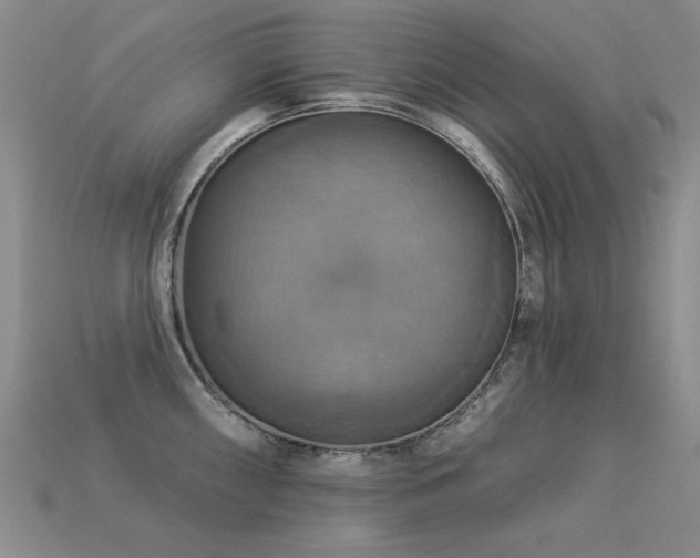X0000113231098200909101206