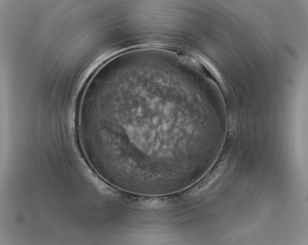 X0000113231099200909101206