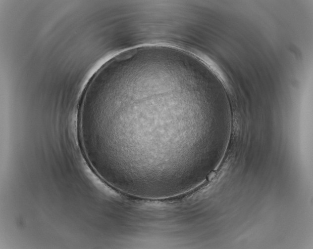 X0000113231100200909101206