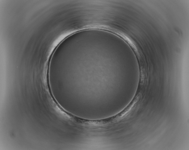 X0000113231102200909101206