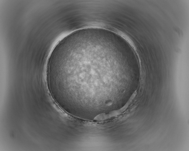 X0000113231104200909101206
