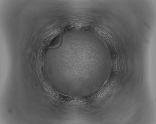 X0000113231105200909101205