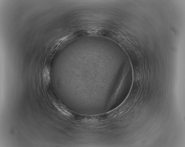 X0000113231106200909101205