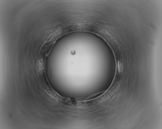 X0000113231107200909101205