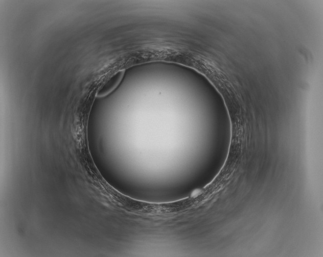 X0000113231109200909101205