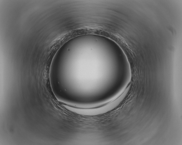 X0000113231110200909101205