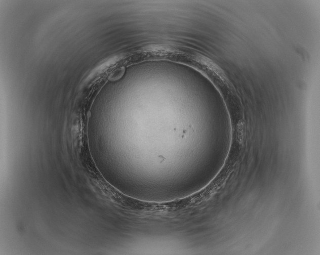 X0000113231111200909101205
