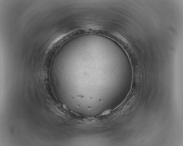 X0000113231112200909101205