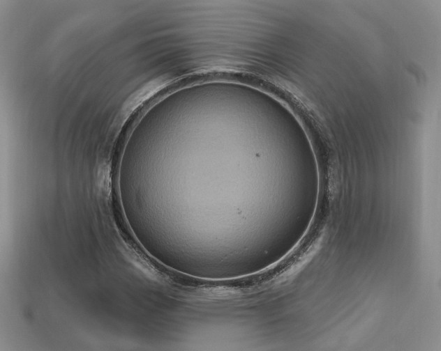 X0000113231113200909101205