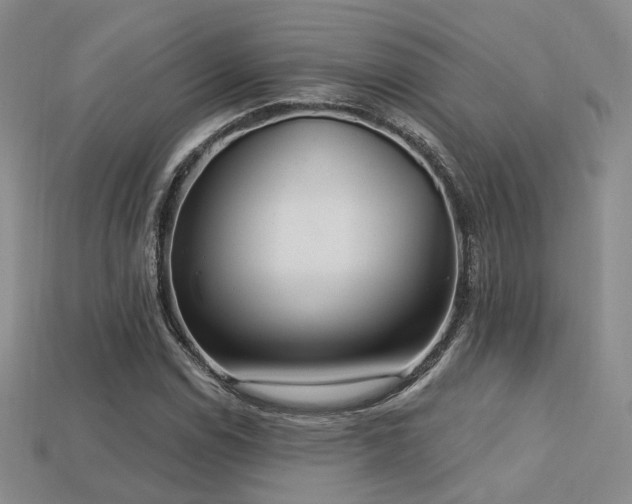 X0000113231114200909101205