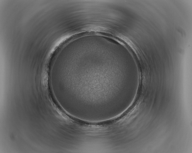 X0000113231115200909101205