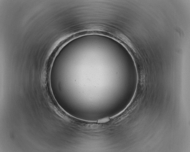 X0000113231116200909101205