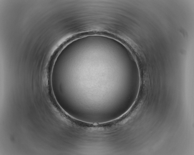 X0000113231118200909101205