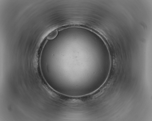 X0000113231119200909101205