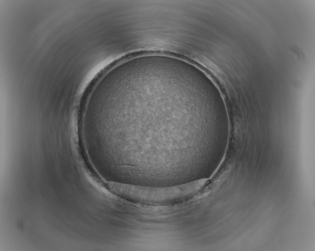 X0000113231120200909101205